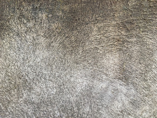 The old flat stone surface. Ancient gray shattered background