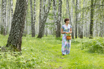 A young woman in a dress collects mushrooms, berries in a basket. Harvesting in a birch forest with ferns