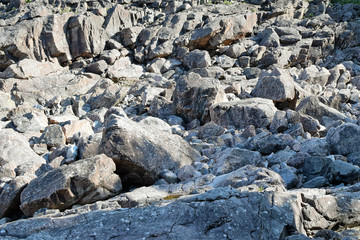 Rocks in dry riverbed. Horizontal image.