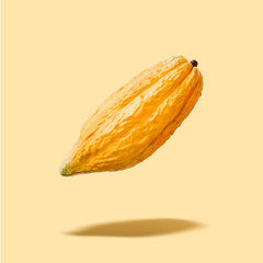 Flying yellow cocoa pod on a yellow background, creative food concept, floating cocoa pod in the...