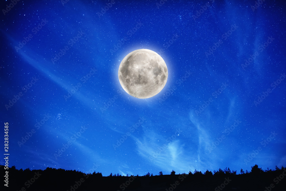 Wall mural big full moon on night sky with stars and forest on background