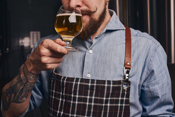Tattooed man tastes beer from the glass he holds in a close up.