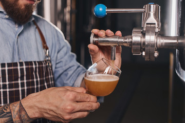 Close up of a beer glass being filled with baverage.