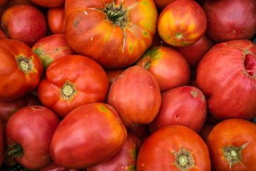 Close up photo of bio tomatoes. Ripe tomatoes, for preparing tomato sauce.
