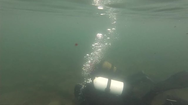 scuba divers explore the rocky bottom in shallow water. young diver training. slow motion. dive into a mountain lake