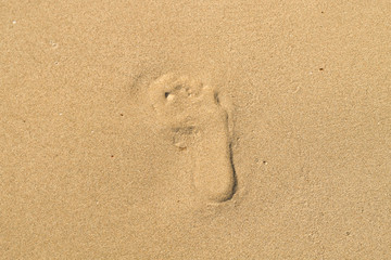 Fototapeta na wymiar Pied sur sable doré sur la plage
