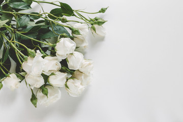 White roses background. Elegant flat lay with flowers