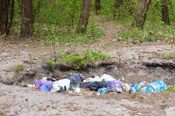 Pollution of the environment by man. Garbage dumping in the forest. Construction and industrial...