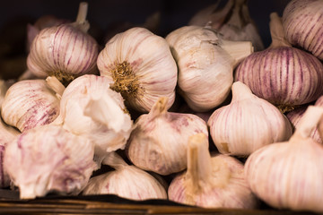 heads of fragrant garlic in baskets on market counter