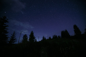 Fototapeta na wymiar starry sky over mountain trees