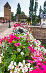 Fototapeta na wymiar Strasbourg city of flowers in summer, France