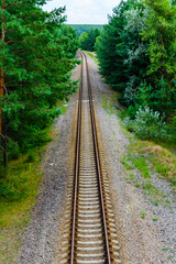 Obraz premium Old railroad in forest on summer