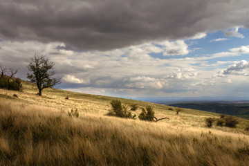 Grassy landscape (Hillside of Table Mountain), dramatic sky above meadow (with bushes and tree) partially lit by sun.  The Pálava Protected Landscape Area (UNESCO) in Czech republic.