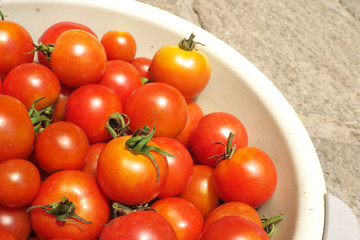 ミニトマト - Fresh cherry tomatoes