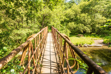 Rusty iron bridge, among the trees, over the upper reaches of the River Severn in the Llanidloes countryside, Wales