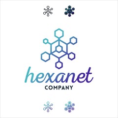 Hexagon Shape with Network or Data or Internet Logo Design Vector