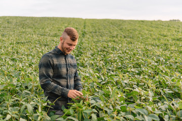 Portrait of young farmer standing in soybean field.