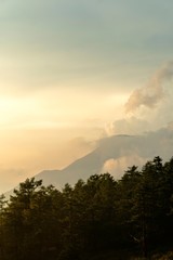 夕方の森と山の縦長写真／View from Hinatakiba Observatory in Nagano, Japan