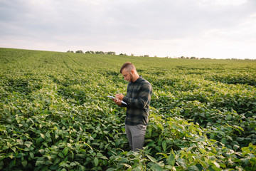 Naklejka na ściany i meble Agronomist inspecting soya bean crops growing in the farm field. Agriculture production concept. Agribusiness concept. agricultural engineer standing in a soy field
