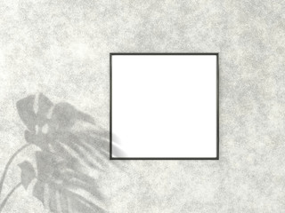 1x1 square Black frame for photo or picture mockup on concrete background with shadow of monstera leaves. 3D rendering.
