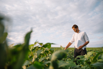Naklejka na ściany i meble Portrait of young farmer standing in soybean field.