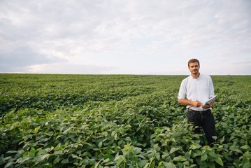 Agronomist inspecting soya bean crops growing in the farm field. Agriculture production concept. Agribusiness concept. agricultural engineer standing in a soy field