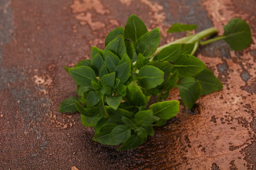 Green Basil leaves