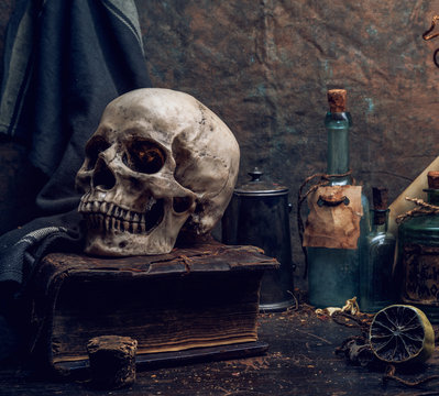 Vintage picture with a skull lying on a book