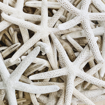 Travel and summer concept. Beautiful marine white five-finger starfishes. Exotic texture and pattern. Flat lay, top view.