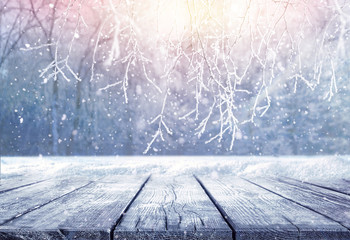 Winter christmas scenic background landscape in sunny day. Empty wooden flooring, stage platform, white birch branches covered snow in forest on nature, soft focus, copy space.