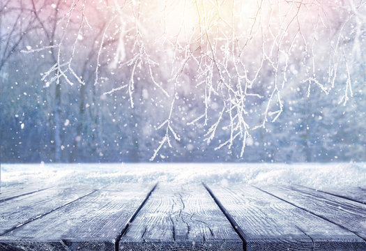 Winter christmas scenic background landscape in sunny day. Empty wooden flooring, stage platform, white birch branches covered snow in forest on nature, soft focus, copy space.