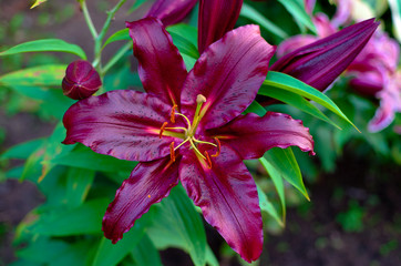  wonderful world around us