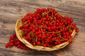 Sweet tasty fresh Red currant
