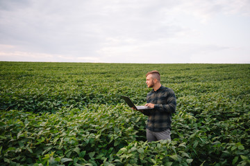 Young agronomist holds tablet touch pad computer in the soy field and examining crops before harvesting. Agribusiness concept. agricultural engineer standing in a soy field with a tablet in summer