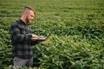 Naklejka na ściany i meble Young agronomist holds tablet touch pad computer in the soy field and examining crops before harvesting. Agribusiness concept. agricultural engineer standing in a soy field with a tablet in summer