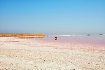 Beautiful view of the pink lake
