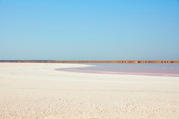 Futuristic view of the pink lake