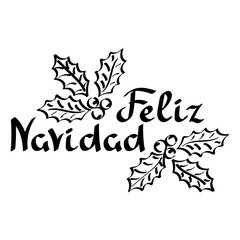 Feliz Navidad. Merry Christmas phrase in Spanish. Hand drawn lettering, Christmas evergreen holly leaves .
