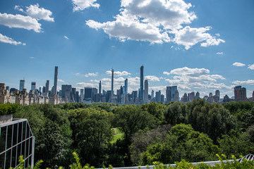 Views of Central Park from the roof top of the MET