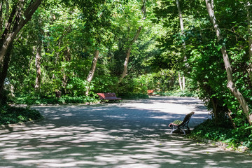 walk with benches in the park