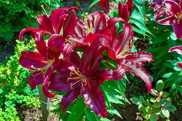 wonderful world around us