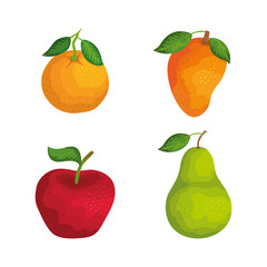 set of healthy fruits organic nutrition