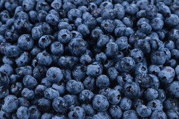 Fresh blueberry background. Texture blueberry berries close up.