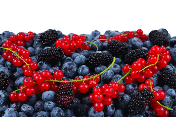 Blackberry, raspberry, blueberry,  red currant and mint background.