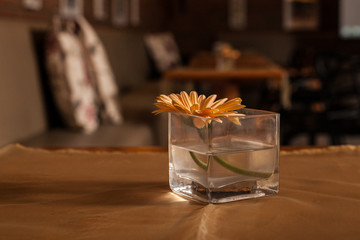 Decoração Sala