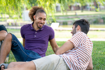 happy young boys having a good time lying on the grass in the park in summer