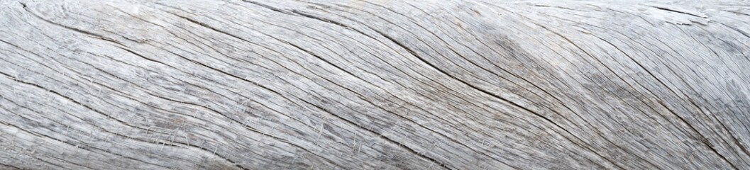 Tree trunk soaked and weathered with meandering cracks. 