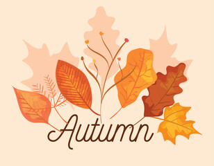nature branches plants with leaves to autumn season