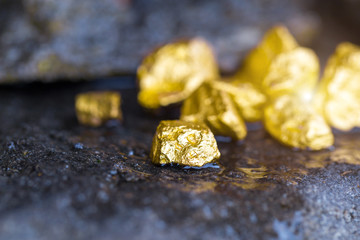 Gold on the stone floor Discovering Success and Investing Concepts with Business Partners.