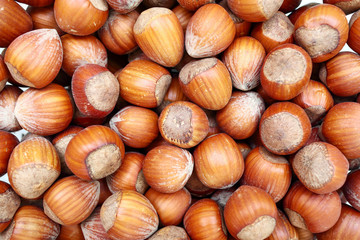 Background of large hazelnuts closeup